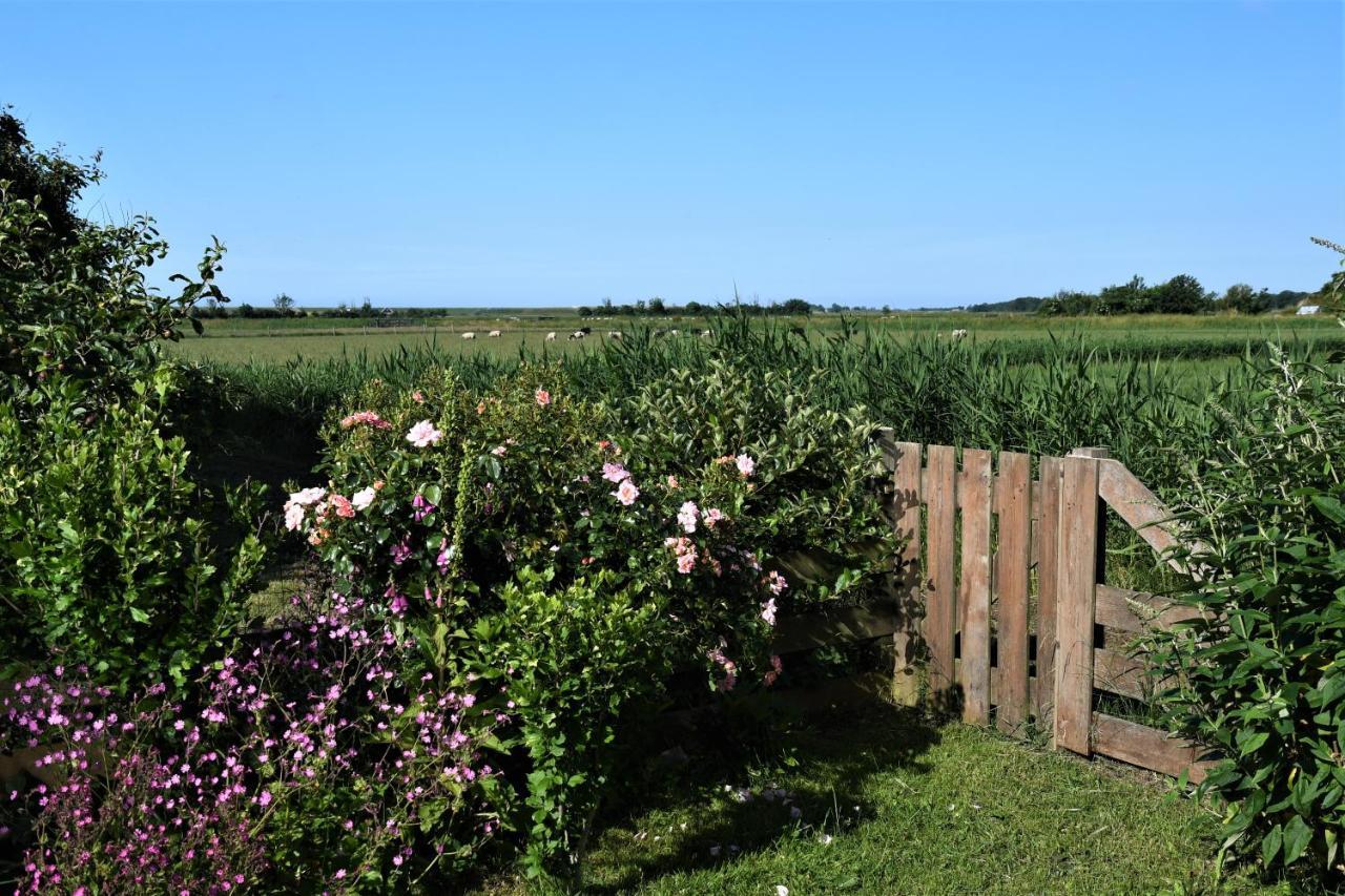 Wadden Eiland Bed En Breakfast Op Texel Oudeschild Bagian luar foto